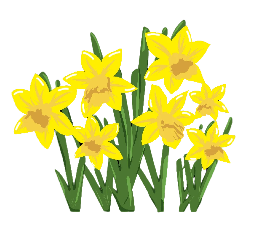 Yellow Flower